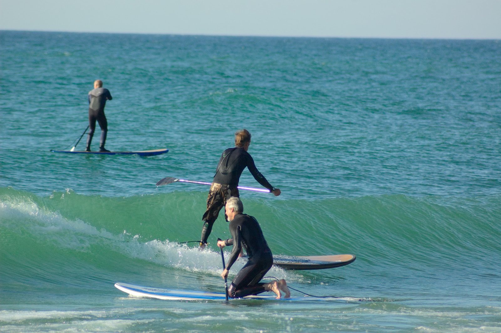 Three stand-up paddleboarders riding a clean blue wave at Frankfort on a sunny day
